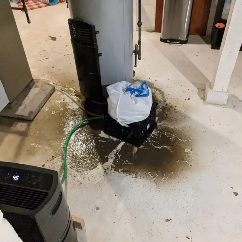 Sewage Backup Cleanup Service in Attala County, MS